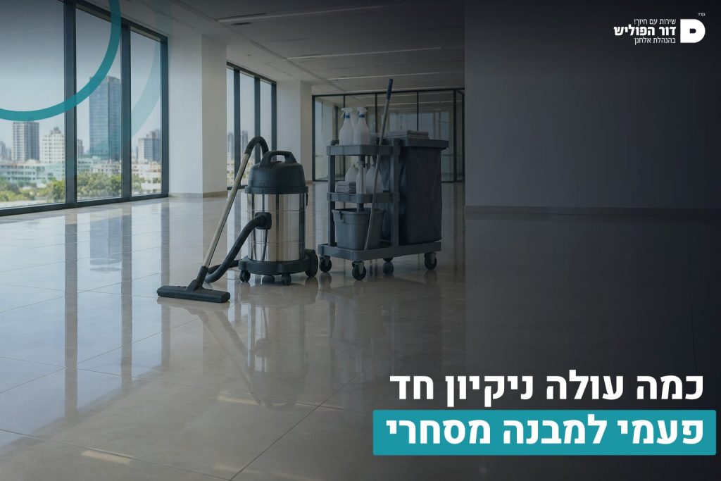 ניקיון חד פעמי