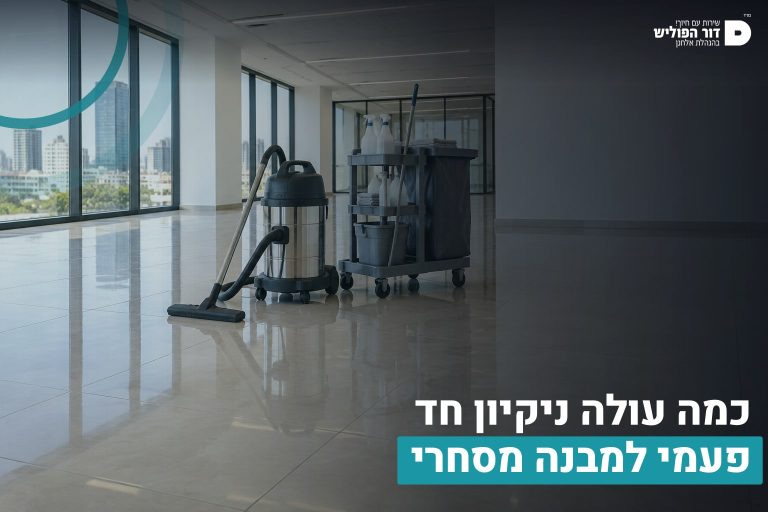 ניקיון חד פעמי